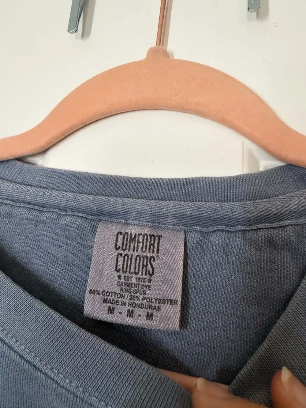 Comfort Colors Lake Placid Embroidered Crewneck Sweatshirt - Picture 2 of 5